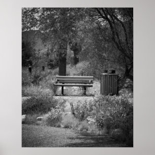 Póster Black & White Park Bench 16x20 Poster Print