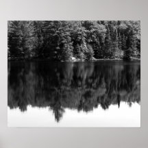 Black & White Trees Reflection in the Water 16x20