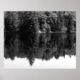 Póster Black & White Trees Reflection in the Water 16x20