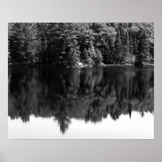 Póster Black & White Trees Reflection in the Water 16x20 (Frente)