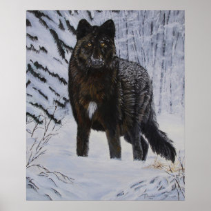 Póster Black Wolf