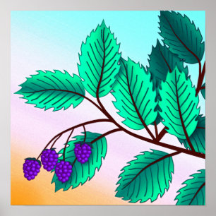 Póster Blackberries en una rama