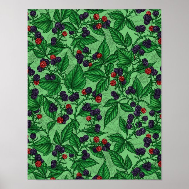 Póster Blackberries sobre verde (Frente)