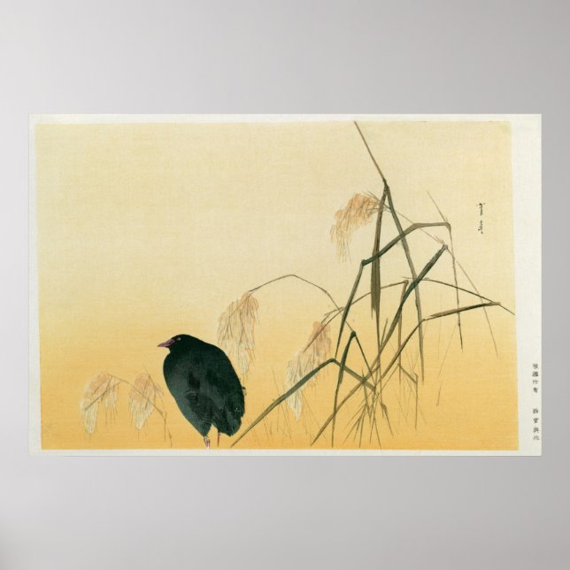 Póster Blackbird, Edo Period (Frente)