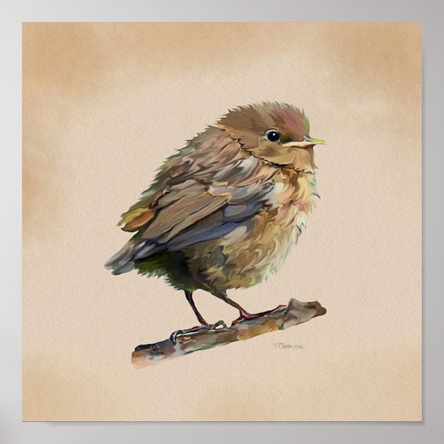 Póster Blackbird Fledgling` (Frente)