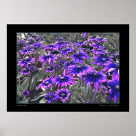 Póster Blacklight Moment in the Gloriosa Poster