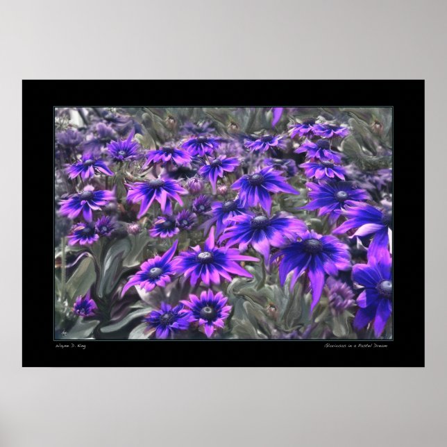 Póster Blacklight Moment in the Gloriosa Poster (Frente)