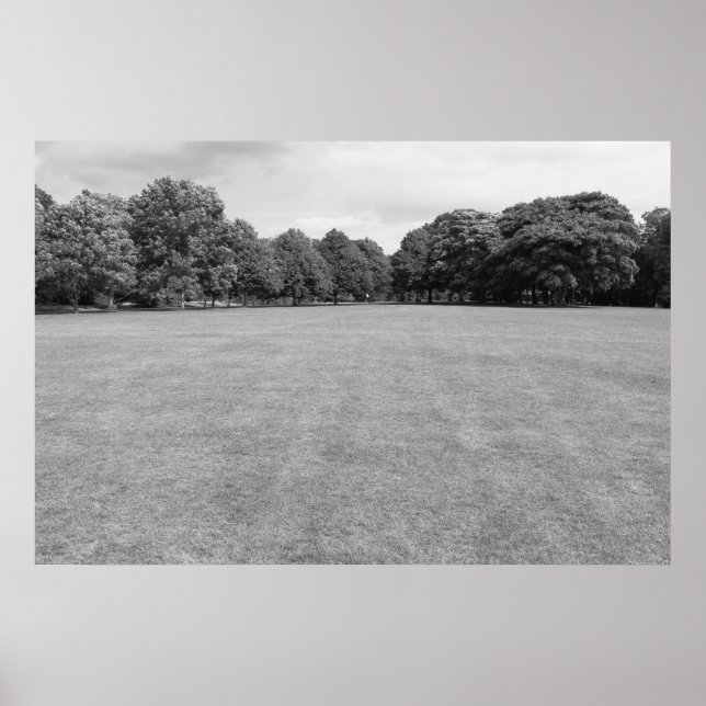 Póster Blackweir Fields, Bute Park, Cardiff. (B&W) (Frente)
