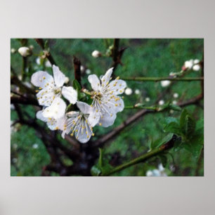Póster blanco de primavera