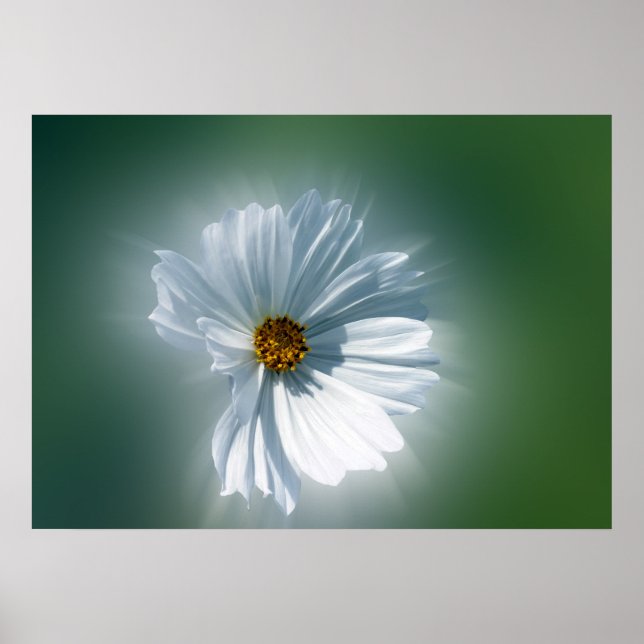 Póster blanco resplandeciente (Frente)