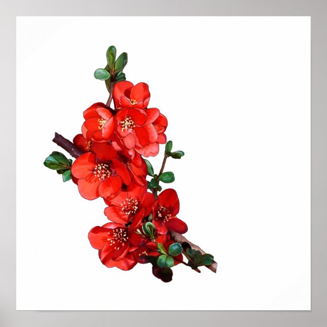 Póster Blanco rojo de quinceañera japonesa (Frente)