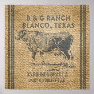 Póster Blanco Texas