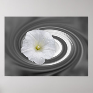 Póster blanco y gris