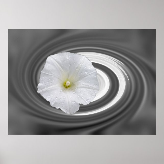 Póster blanco y gris (Frente)