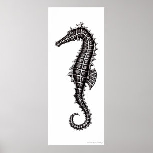 Poster blanco y negro del arte del dibujo del