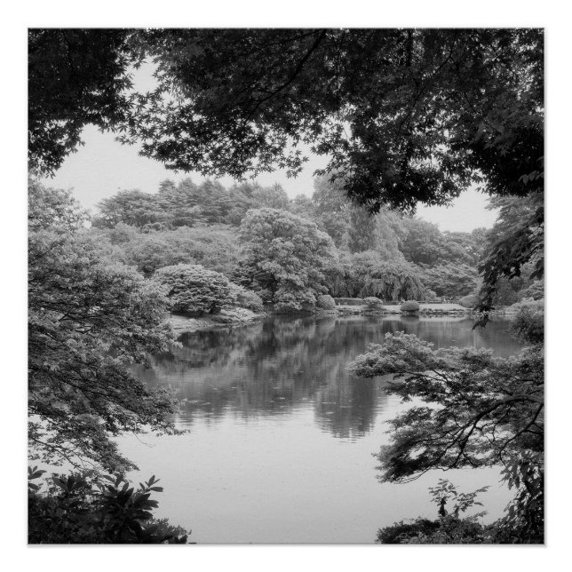 Póster Blanco y negro, fresco, único y natural y lago (Anverso)