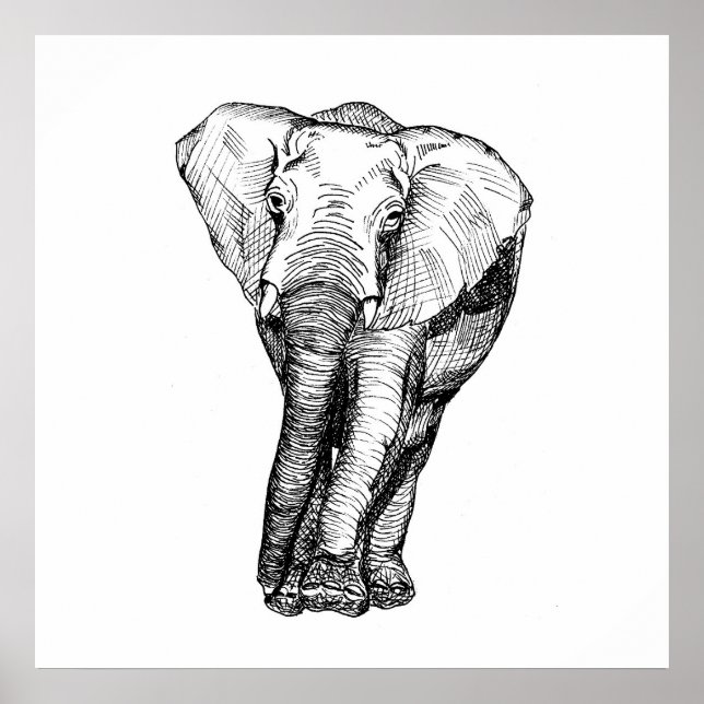 Póster Blanco y negro minimalista, animales, original (Frente)