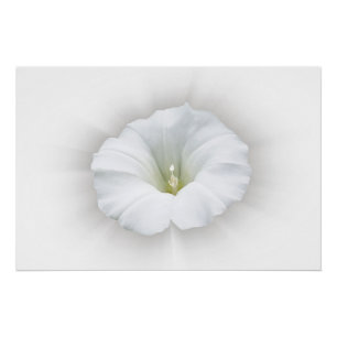 Póster blanco y tonos grises