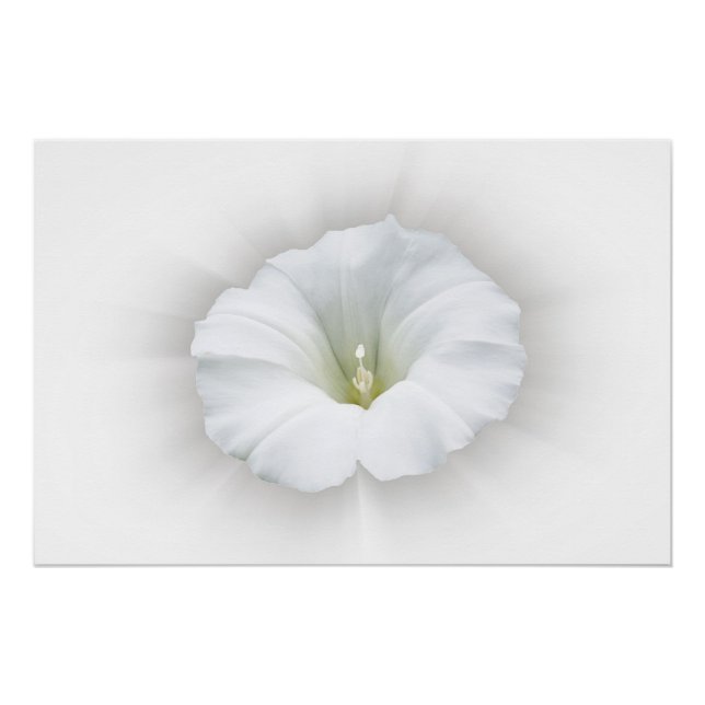 Póster blanco y tonos grises (Anverso)