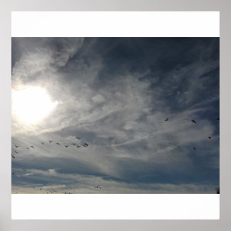 Póster blanqueado por el sol