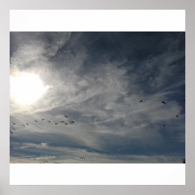 Póster blanqueado por el sol (Frente)