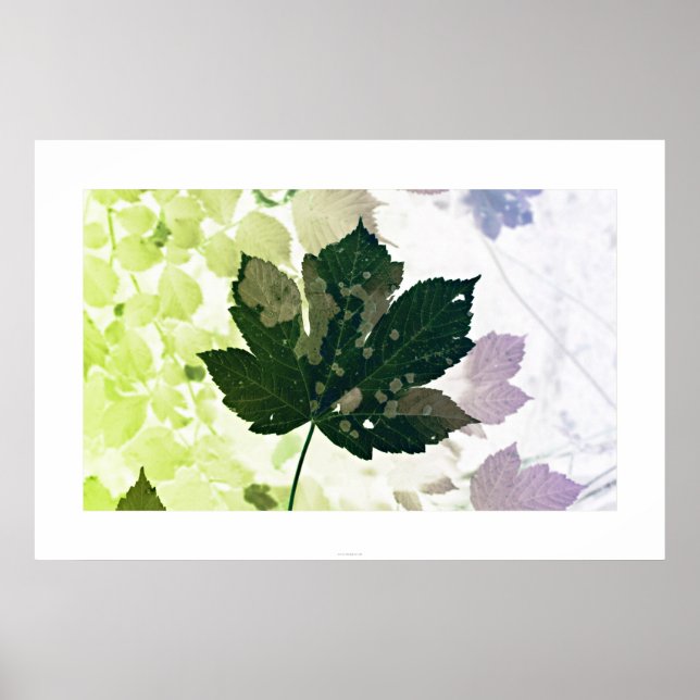 Póster Blatt (Frente)