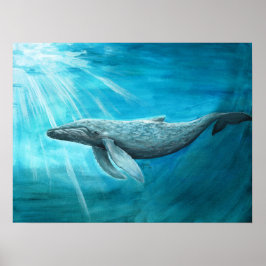 Póster "Blauwal" de AnimalABC