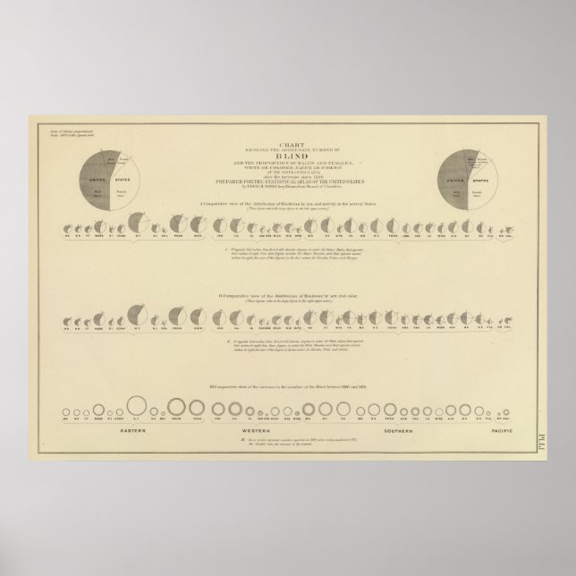 Póster Blindness, Statistical US Lithograph 1870 (Frente)