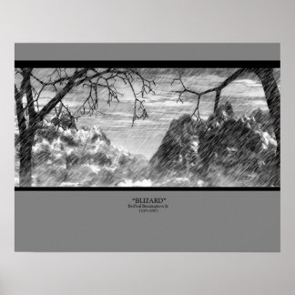Póster Blizard