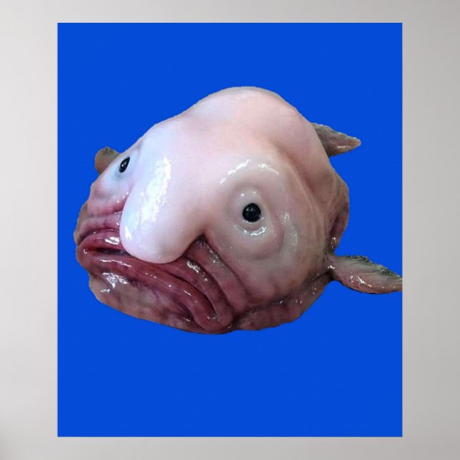 Póster Blob Fish (Frente)