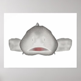 Póster Blobfish