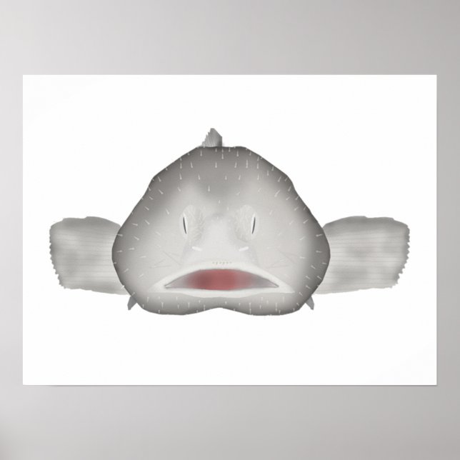 Póster Blobfish (Frente)
