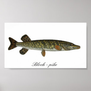 Póster Bloch - poster de pike