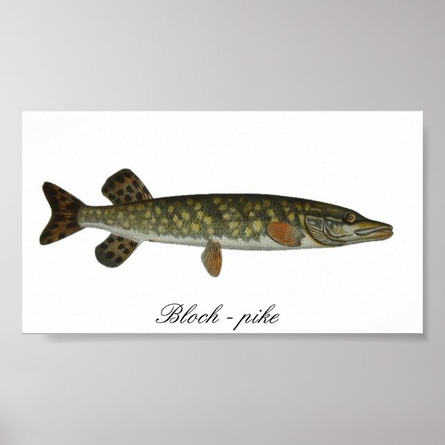 Póster Bloch - poster de pike (Frente)