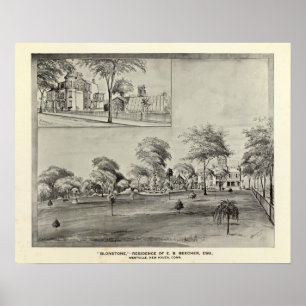 Póster Blonstone, Westville