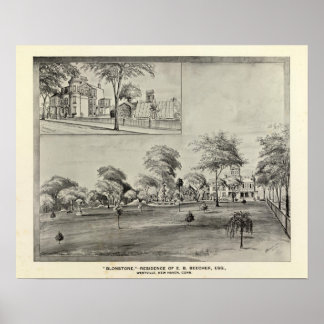 Póster Blonstone, Westville