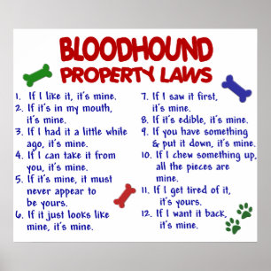 PÓSTER BLOODHOUND PL2