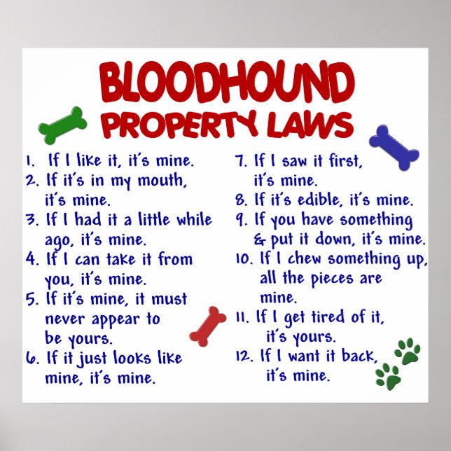 PÓSTER BLOODHOUND PL2 (Frente)