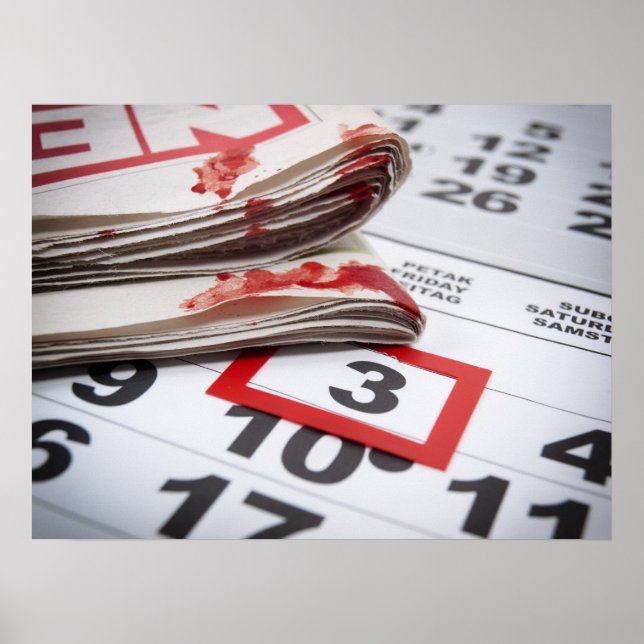 Póster Bloody World Press Freedom Day (Frente)