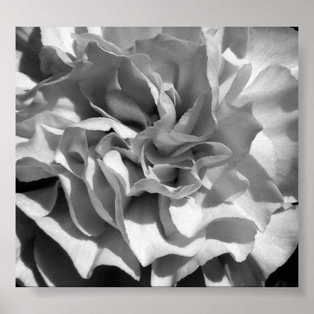 Póster Bloom #4 (Frente)