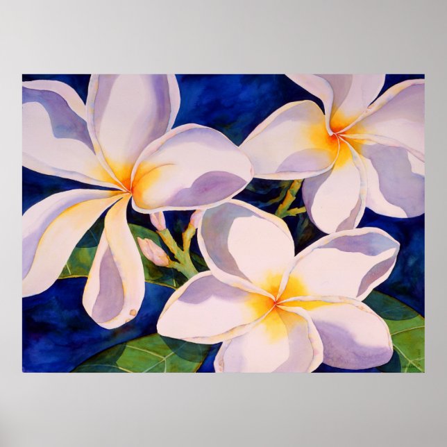 Póster Bloom Completo (Frente)