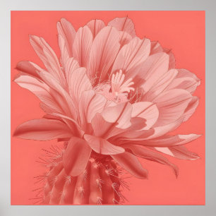 Póster Bloom de Cactus de Coral minimalista
