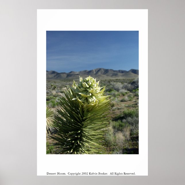 Póster Bloom de postre (Frente)