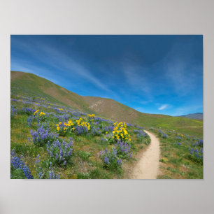 Póster Bloom de primavera del desierto alto