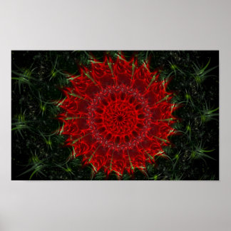 Póster Bloom del desierto