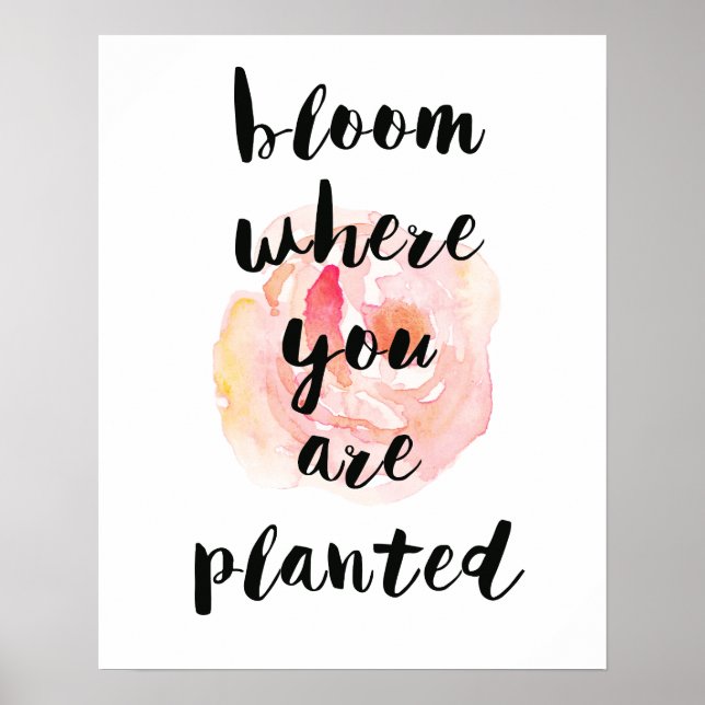 Póster Bloom Donde Está Plantado Rosa De Acuarela (Frente)