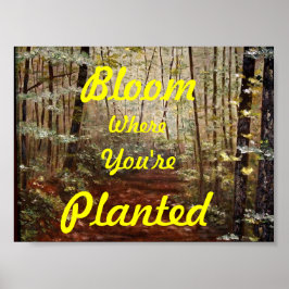 PÓSTER "BLOOM DONDE ESTÁS PLANTADO"