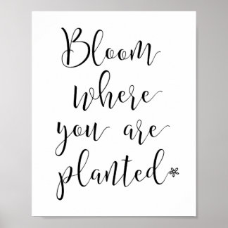 Póster Bloom donde estás plantado Poster