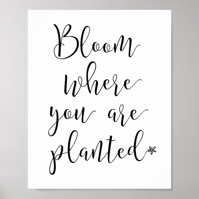 Póster Bloom donde estás plantado Poster (Frente)