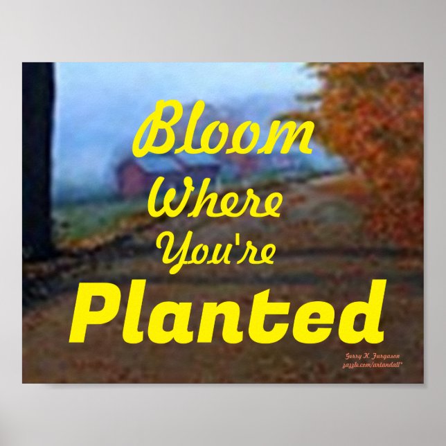 PÓSTER BLOOM DONDE ESTÁS PLANTADO POSTER (Frente)